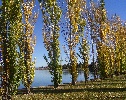 Autumn at Yerrabi Pond, Gungahlin