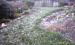 Backyard snow in Gungahlin