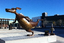 Visit the new Gungahlin Library.