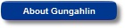 About Gungahlin