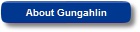 About Gungahlin